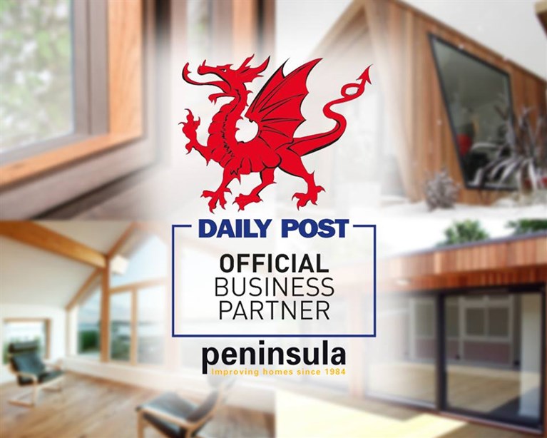 Daily Post Business Partnership Scheme